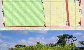 Imagem 7: Venda /Fazenda, Peixe, Alevinos Pres. figueiredo