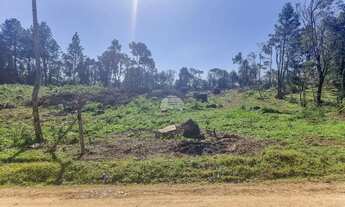 Imagem 2: Vendas Terreno Tijucas Do Sul PR