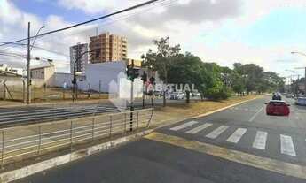 Imagem 7: Aluguel Área SANTA MONICA