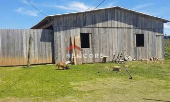 Imagem 6: Fazenda em Lageado Grande - Tainhas - São Francisco de Paula/RS