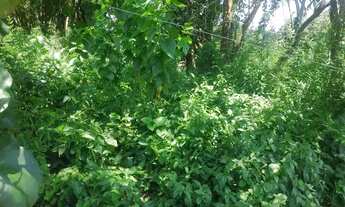 Imagem 7: Lote em Rua São Vicente - Granja Viana - Cotia/SP