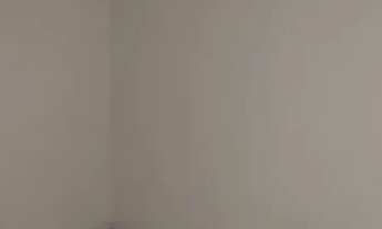 Imagem 2: Alugo Apartamento 2 Qts no Espaço Verde - Flores