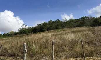 Imagem 4: Sítio com casa Chácara com venda por R$100.000