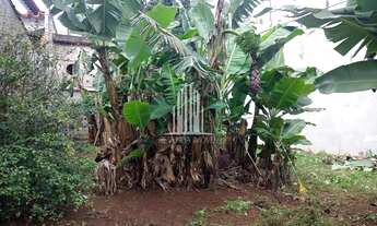 Imagem 6: Galpão Comercial à Venda em São Paulo-SP, na Vila do Castelo - 50,00 m² de área!