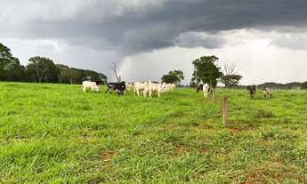 Imagem 6: Chácara entre Goiânia e Nerópolis