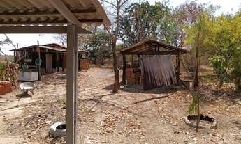 Imagem 7: VENDO!!! Uma área rural de 2 hectares na região do porto bandeira na cidade de C