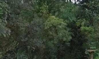 Imagem 3: Área Residencial /Almirante Tamandaré / Vila Tanguá