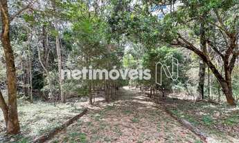 Imagem 6: Terreno com 3300 m²; sendo 350m²; de área construída