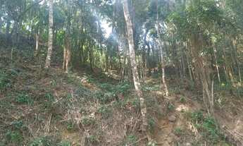 Imagem 3: Lote em condomínio em Alameda dos Canários - Caraguatá - Mairiporã/SP