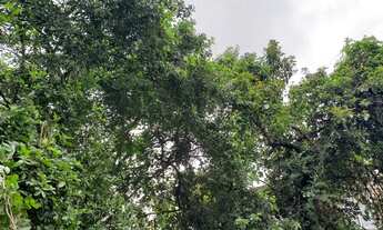 Imagem 2: Rocha. Terreno para Venda com 1000m² no Rocha - Rio de Janeiro - RJ