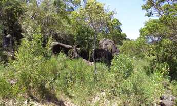 Imagem 4: TERRENO RESIDENCIAL em FLORIANÓPOLIS - SC, RATONES