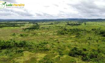 Imagem 3: Fazenda Á VENDA EM CENTENÁRIO - TO - 363 HECTARES (PECUÁRIA