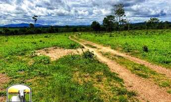 Imagem 3: Fazenda com 58 alqueires em Niquelândia - GO