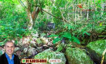 Imagem 5: Chácaras/Lotes de Terra à Venda em Igrejinha - RS