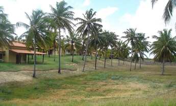 Imagem 7: OPRTUNIDADE/ CASA BEIRA MAR/ PRAIA / PEROBAS BEACH/ TOUROS/ NATAL
