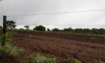 Imagem 11: Venda Fazenda Municipal Jangada, 1.300 hectares, Topografia Plana Levemente Ondulada - MT