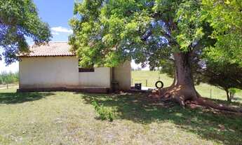 Imagem 3: R- 528 Oportunidade única vendo propriedade de 45 hectares em Piratini-RS