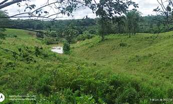 Imagem 5: 150 hectares fazendinha pronta documentada por R$ 2.7 milhões