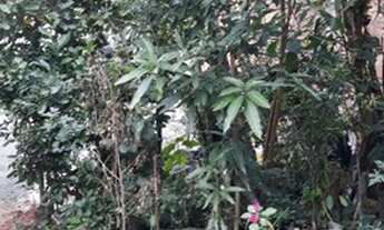 Imagem 3: Lote com 210 m² - Rua Comercial - Jardim Vitápolis - Itapevi - SP