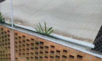 Imagem: Apartamento para aluguel tem 48 metros quadrados