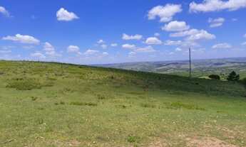 Imagem 6: R- 528 Oportunidade única vendo propriedade de 45 hectares em Piratini-RS