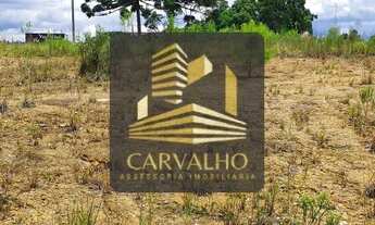 Imagem 5: Terreno para investimento na BR 280