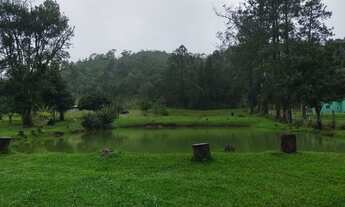 Imagem 3: 4,8 hectares em pastagem e aguadas casa sede mais piscina