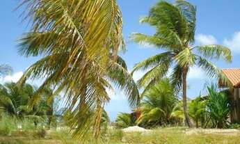 Imagem 5: OPRTUNIDADE/ CASA BEIRA MAR/ PRAIA / PEROBAS BEACH/ TOUROS/ NATAL