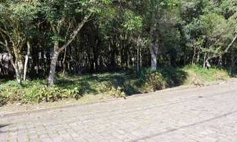 Imagem 2: Excelente terreno no bairro Ana Rech Ref.:1249