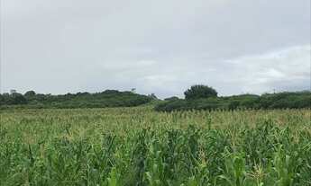 Imagem 2: Fazenda com 460 hectares na região de Bom Jesus top de luxo