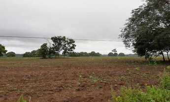 Imagem: Venda Fazenda Municipal Jangada, 1.300 hectares