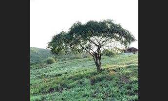 Imagem 2: Terreno à venda, 1 m² por R$ 390.000 - Boa Viagem - Recife/PE