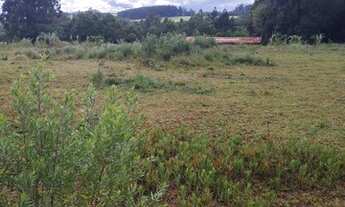 Imagem 4: Terreno em Santa Rosa