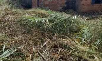 Imagem 2: Lote Jardim vila boa próx ao jardins leia descrição