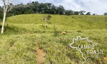 Imagem 3: ÁREA RURAL 30.000M² COM TOPOGRAFIA MISTA E NASCENTE EM JAMBEIRO !