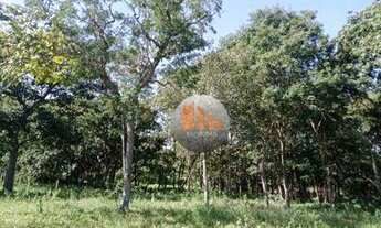 Imagem 5: Fazenda com 2 dormitórios à venda, 321376 m² por R$ 1.000.000,00 - Zona Rural - Pontalina