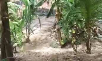 Imagem 6: Vende-se Casa no São José Próximo ao Colégio Adventista