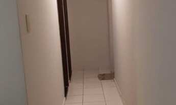 Imagem 3: Repasse João Paulo II