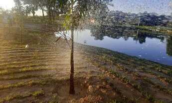 Imagem 2: Chácara em Itaberai