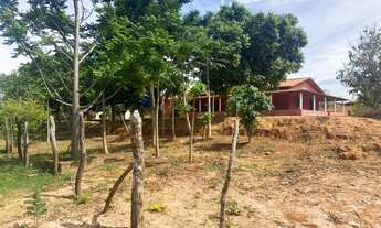 Imagem 6: Fazenda/Sítio/Chácara para venda com 2000000 metros quadrados em Centro - Novorizonte - MG
