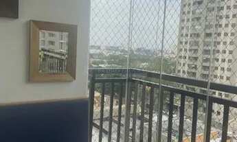 Imagem 4: Maringá - Apartamento - ZONA 03