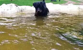 Imagem 6: Chácara em Zona Rural - Guarapari, ES