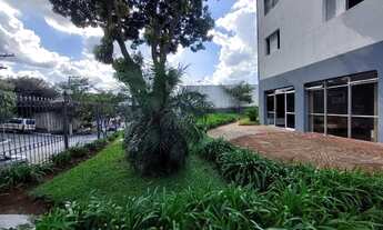 Imagem 7: Apartamento (Padrão), com 2 quartos e 1 banheiros à Venda, 65 m² em São Paulo/SP