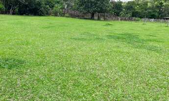 Imagem 4: Jt- Vende-se terreno a 15 minutos do centro