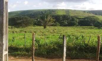 Imagem 4: Sitio pra vender