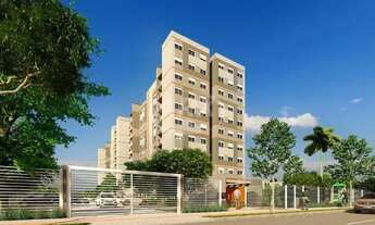 Imagem 6: CANOAS - Padrão - Igara