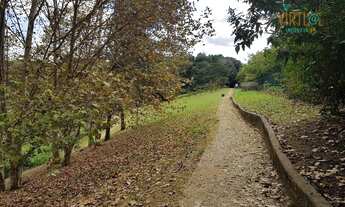 Imagem 5: Apartamento com 3 dormitórios para alugar, 61 m² por R$ 2.135,00/mês - City América - São