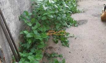 Imagem 2: Casa com 3 dormitórios à venda, 120 m² por R$ 510.000 - São Luiz - Piracicaba/SP