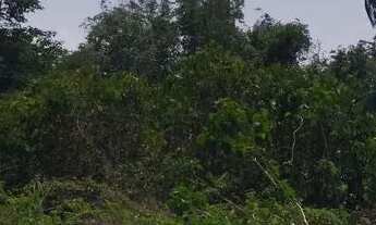 Imagem 7: /Lote em Açutuba com 4 mil m2