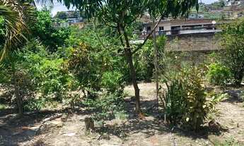 Imagem 4: Excelente terreno muito grande